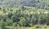 Tour Wandern La Motte-Chalancon - La Motte Chalancon - Plateau de la Chau - Photo 17