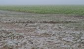 Tocht Stappen Verlaine - 2025-01-19_13h03m19_circuit_autour_du_chateau_de_seraing-le-chateau-3 - Photo 14