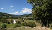 Trail Walking Orbey - Creux d'argent - Photo 1