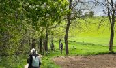 Tour Wandern Overijse - #230220 - Terlanen, Schaatbroekbos, GR579 - Photo 3