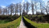 Trail On foot Montferland - Galgenberg route - Photo 6
