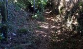 Trail Walking Pluguffan - chapelle grace - Photo 3
