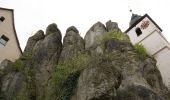 Tocht Te voet Hiltpoltstein - Hiltpoltstein Gelbring - Photo 1