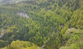 Tocht Stappen Consolation-Maisonnettes - Cirque de la Consolation - cascade du Lancot - Photo 2