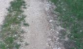 Trail Walking Mercurey - Mercurey  - Photo 3