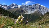 Tocht Te voet Stilfs - Stelvio - IT-5 - Photo 3