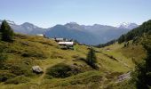 Trail Walking Naters - De Belalp à Nessel par le bisse de Nessjeri - Photo 4