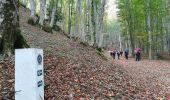 Tocht Te voet San Lucido - (SI U25) Passo della Crocetta - Caserma Forestale di Cinquemiglia - Photo 1