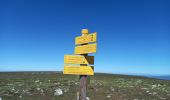 Tour Wandern Mont Lozère et Goulet - Stevenson étape 8 - Photo 11