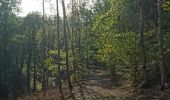 Trail Walking Limbourg - Hevremont Baelen  - Photo 4