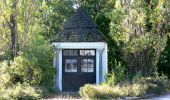 Tour Zu Fuß Sarleinsbach - Lebensblickeweg - Photo 2