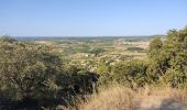 Excursión Senderismo Nages-et-Solorgues - Nages les capitelle - Photo 16