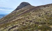 Excursión Senderismo Murat-le-Quaire - coux-banne-ordanche-coux - Photo 14