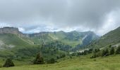 Tocht Stappen Saint-Pierre-de-Chartreuse - Col Charmette Grand Sur sommet 10,7 km - Photo 4