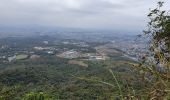 Tocht Stappen Guayaquil - Cerro Azul (Antenas) de ESPOL - Photo 16