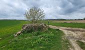 Randonnée Marche Andenne - Maizeret 120424  - Photo 8