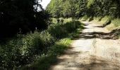Trail Walking Leuze - leuze - Photo 2