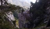 Tour Wandern Fillière - tête de l'Apertaz, tête ronde et tête noire - Photo 5