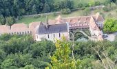 Excursión Senderismo Corveissiat - arnans abbay de selignac - Photo 12