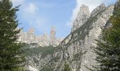 Tour Zu Fuß Forni di Sopra - IT-366 - Photo 10