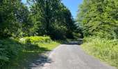 Randonnée Marche Rethondes - en Forêt de Laigue, 04_07_2025_sur les Routes du Grand Octogone, du Plessis-Brion, de Sainte-Croix, du Petit Octogone et de la Belle Assise - Photo 3