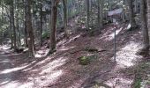 Trail On foot Lizzano in Belvedere - IT-125 - Photo 10