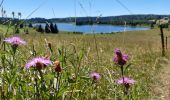 Trail Walking Chapelle-des-Bois - Le tour du lac des mortes. - Photo 5