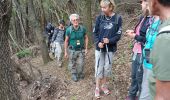 Trail Walking Collobrières - Collobriéres. Sommet de l'Argentière  - Photo 12