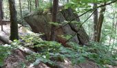 Percorso Marcia Münchweiler an der Rodalb - Pirmasens - Felsenwald - Photo 17