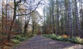 Randonnée A pied Gateshead - Boundary Walk - Photo 3