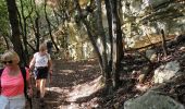 Randonnée Marche Montauroux - Les gorges de la Siagne et les chênes pluricentenaires - Photo 2
