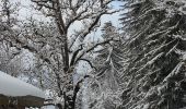 Trail Snowshoes Demi-Quartier - Darbelets(Choseaux) Prapacot - Photo 4