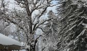 Excursión Raquetas de nieve Demi-Quartier - Darbelets(Choseaux) Prapacot - Photo 4