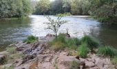 Tocht Stappen Montpeyroux - SUR LE CHEMIN DE L'ARKOSE - Photo 11