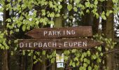 Tour Wandern Eupen - 20230424 - Eupen 7.5 Km - Photo 1