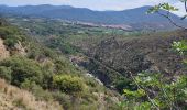 Trail Walking Ille-sur-Têt - Ille sur tet - Photo 11