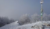 Tour Zu Fuß okres Vranov nad Topľou - Hermanovský turistický okruh - Photo 3