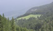 Tour Wandern Jausiers - cascadede pissoun 24 06 2024 - Photo 3