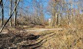 Tocht Stappen Compiègne - en forêt de Compiègne_47_autour des Beaux Monts - Photo 14