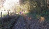 Trail Walking Boos - 20211123-Boos - Photo 16