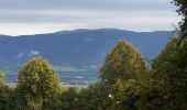 Tour Wandern Valromey-sur-Séran - réservoir  - Photo 1