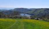 Trail Walking Chambon-sur-Lac - BOUCLE AUTOUR DE LA COUZE DE SURAINS - Photo 8