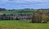 Randonnée Marche Mettet - De Stave à Biesmerée - Photo 13