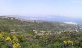 Trail On foot Cassis - Sentier du Cap Canaille - Photo 2