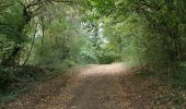 Trail Walking Germond-Rouvre - 2020-09-19  - Photo 4