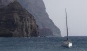 Tocht Te voet La Aldea de San Nicolás - Ruta Playa de El Puerto - Photo 9