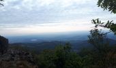 Trail Walking Bourbach-le-Haut - col du schirm - Photo 2