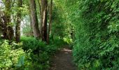 Trail Walking Hannut - La balade des chevées (5km)  - Photo 11