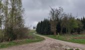 Tocht Stappen Daverdisse - Gembes 270422 - Photo 12