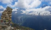 Trail Walking Chamonix-Mont-Blanc -  Depuis le télécabine de La Flégère jusqu'au refuge et Lac Blanc et descente bouclée par les Lacs des Chéserys - Photo 13